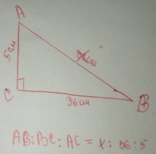 Начерти прямоугольный треугольник ABC так, чтобы ∢C =90°. AC= 5 см и BC= 36 см. Найди отношение ст