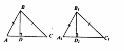 Треугольники АВС и А1В1С1 равны, причем ВС = В1С1, BA = B1A1. Докажите, что высоты BD и B1D1 треугол