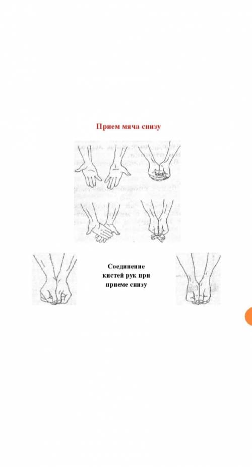 Варианты соединения пальцев при нижнем приёме мяча в волейболе