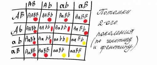 с задачкой, желательно с оформлением (дано, решение и т.д)​​