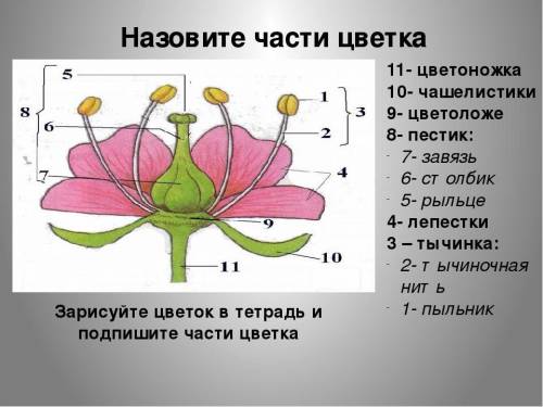 помгите как можно быстрее