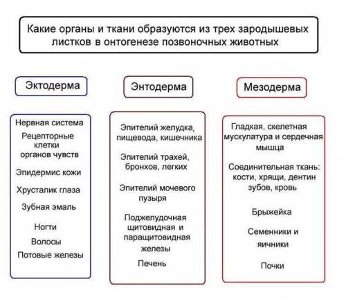 Биология Заполните таблицу!