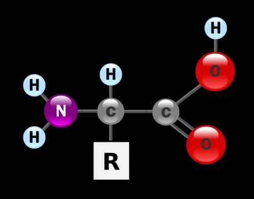 Определи, относится ли вещество, формула которого приведена, к аминокислотам? CH2=CH−COOH