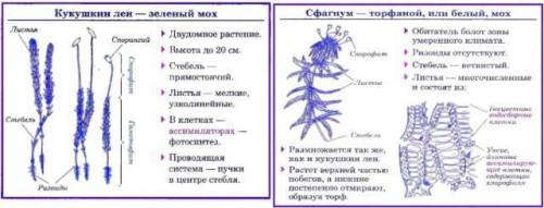 Срввните Кукушкин лён с Сфагнумом, отметьте особенности их строения, формы листьев, коробочек и стеб