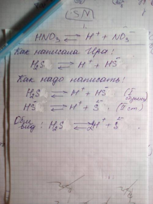 В химической лаборатории Сергей и Ира приготовили растворы азотной кислоты и сероводородной кислоты