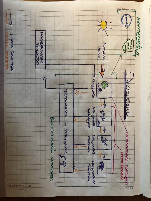 Графически изобразите схему экосистемы и покажите стрелками взаимосвязь между компонентами.