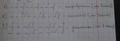 Определите размер стиха в приведённых отрывках.Алексей Константинович Толстой(1817--1875)Где гнутся