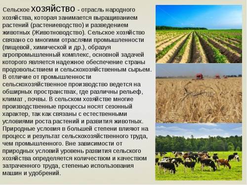 Сообщение на тему: «Особенности весенних сельскохозяйственных работ» кратко это по технологии