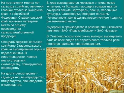 Сообщение на тему: «Особенности весенних сельскохозяйственных работ» кратко это по технологии