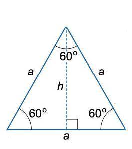 Какая из указаных фигур имеет центр симметрии и ось симметрии ? A)равносторонний треугольник Б)пара