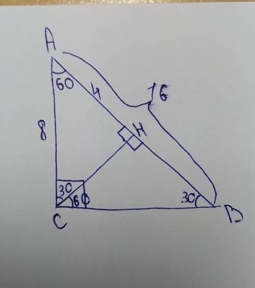 Треугольник ABC-прямоугольный(угол C=90 градусам) CH-высота уголB=30 градусам AB=16 см Найти AH