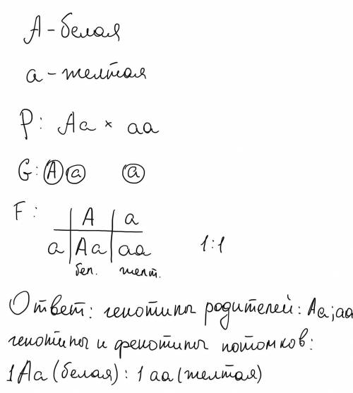 Скрестили тыкву с белой окраской плодов и тыкву с жёлтой окраской плодов. Белая окраска плодов домин