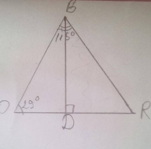 В треугольнике OBR проведена высота BD.Известно, что ∡ BOR = 29° и ∡ OBR = 115°.Определи углы треуго