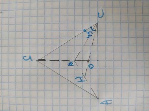 В правильной треугольной пирамиде угол между боковым ребром и плоскостью основания равен 45°. Высота