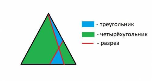 Разрежь треугольник двумя разрезамина два треугольника и два четырёхугольника