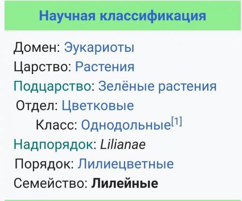 Род семейства лилейных​