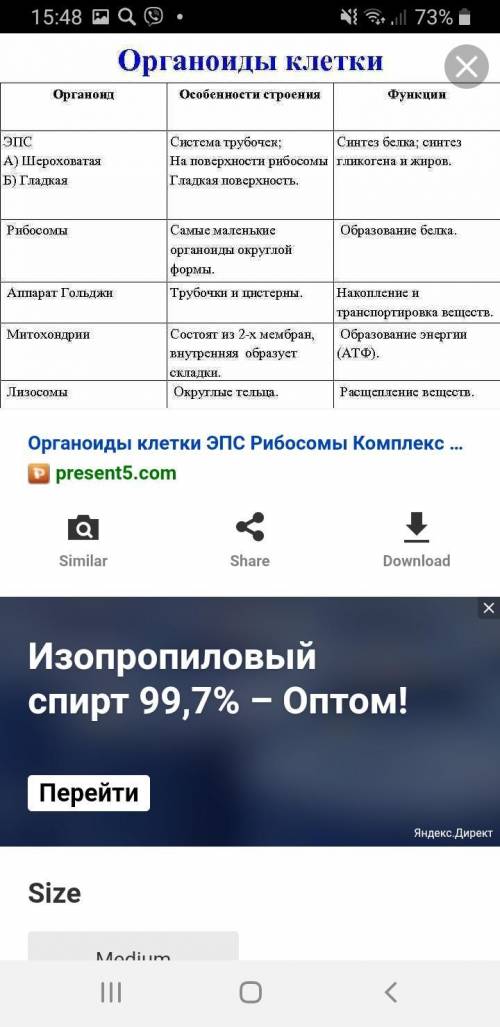 . Установите, какой органоид (A-F) какую функцию (1-6) выполняет и выберите номер правильной комбина