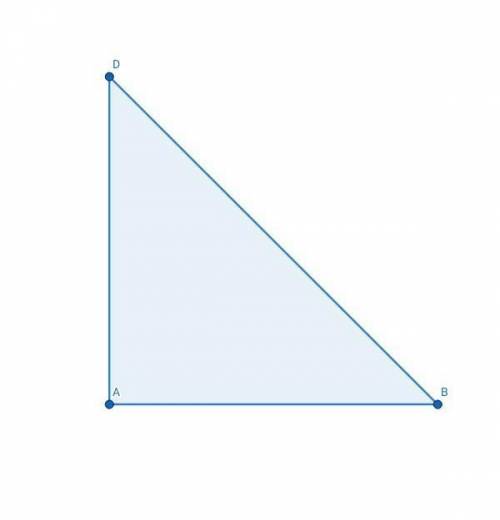 Гипотенуза прямоугольного треугольника равна 10 см, катет равен 5 см. Определите градусные меры угло
