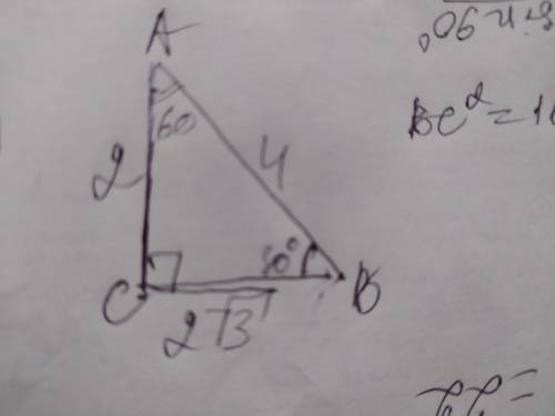 В треугольнике с прямым углом С, катет АС= 2, гипотенуза АВ = 4. Найти углы треугольника. (желательн