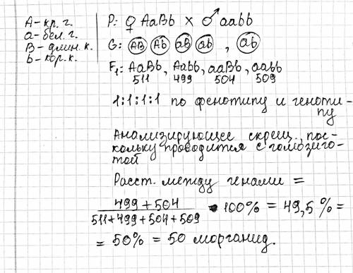 Решите задачу по генетике​