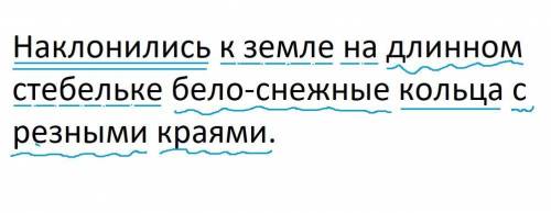 Разобрать предложение по членам: Наклонились к земле на длинном стебельке бело-снежные кольца с резн