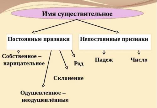 Какие виды существительных есть в русском языке