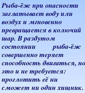 Поиогите кто ответит чтобы забрать балы бан​