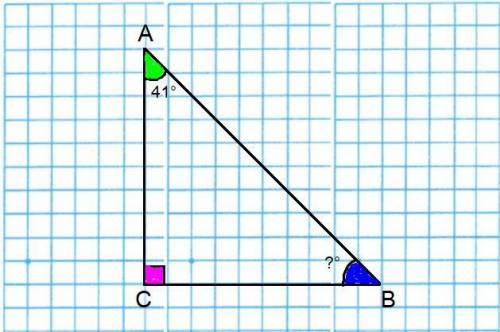 4.В треугольнике АВС,угол С=90 градусов,угол А=41 градус,чему равен угол В?