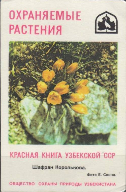 Какие растения в Узбекистане занесены в красную книгу ​