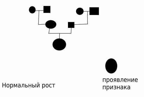 Составить генеалогическое древо, проанализировав свой генотип и генотип своих родителей, дедушек и б