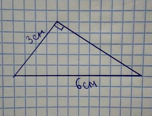 Постройте прямоугольный треугольник, один из катетов которого равен 3см, а гипотенуза равна 6 см