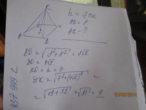 Высота правильной четырёхугольной пирамиды равна 7 см, а сторона основания равна 8 см. Определите бо