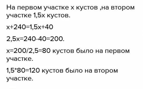 На первом участке было в 2,5 раза меньше кустов смородины, чем на втором.После того как на первый уч