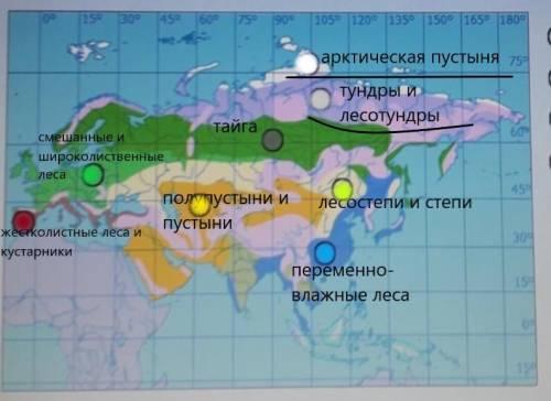Укажите на карте Евразии перечисленные природные зоны. Природные зоны- арктическая пустыня, лесостеп