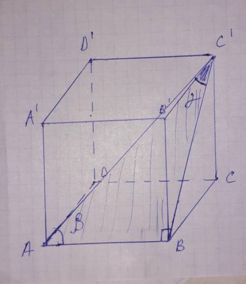 Решите задачу:Дан куб ABCDA1B1C1D1 со стороной 1. Найдите градусную меру угла междупрямыми AC1 и BC1