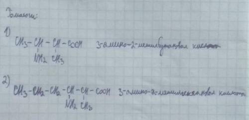 Для вещества : 3-амино-2-метилпентановой кислоты, составьте структурные формулы двух гомологов и дву