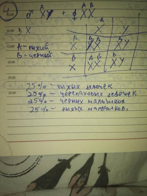 1. У кроликов ген серой окраски меха доминирует над черной окраской. Серогокролика скрестили с черно