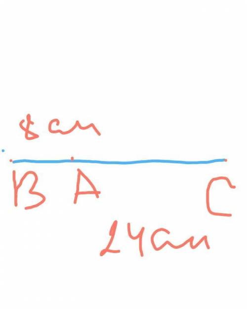 Отрезок BC длиной 32 см разделили точкой А на два отрезка в отношении 1 : 3. Определите длину каждог