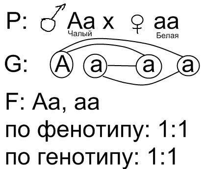 НУЖНЫ ОТВЕТЫ Задача № 17. Нормальная женщина, отец которой был дальтоник, выходит замуж за нормально