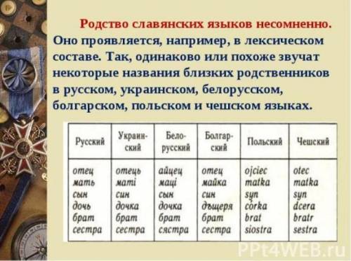 признаки родства славянских языков