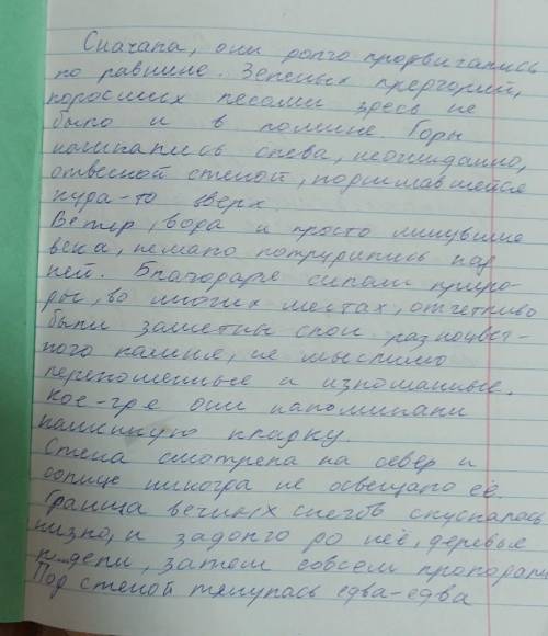 Всавьте пропущенные буквы и запятые Всавьте пропущенные буквы и запятые