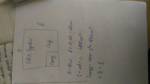 Присадибна ділянка має форму прямокутника.Довжина садиби 80 м, що на 20 м більше ширини садиби.2/3 п