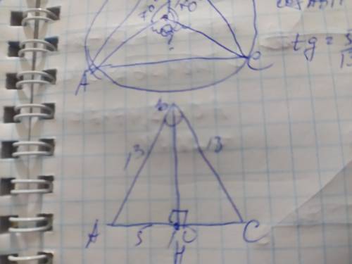 1. Основание равнобедренного треугольника равно 10 см, а боковая сторона 13 см. Найдите синус, косин
