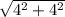 \sqrt{4^{2}+4^{2} }