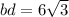 bd = 6 \sqrt{3}