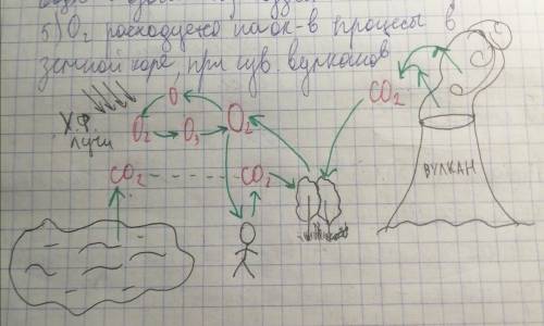 Биология. Составить химические схемы круговорота веществ (свои): С, Р, N, О, S, Н2О В виде генетичес