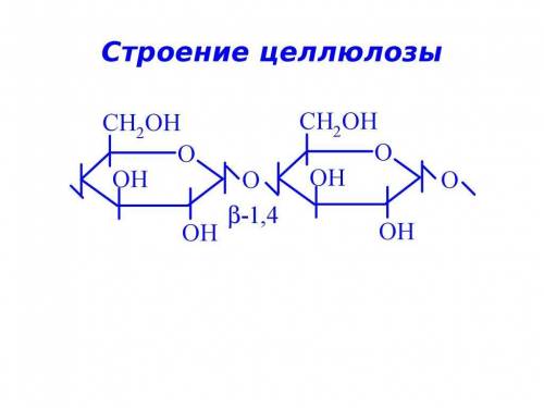 Полисахариды – крахмал и целлюлоза: а) нахождение в природе; б) строение; в) применение.