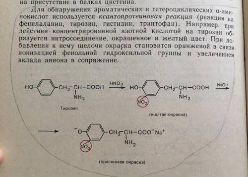 1. Напишите уравнение реакции образования три пептида из двух молекул глицина и двух молекул аланина