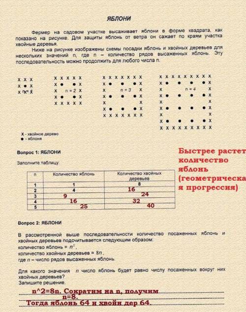 Вопрос 3: Предположим, что фермер решил постепенно увеличивать число рядов яблонь на своем участке.