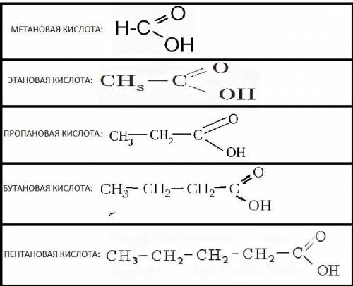 УМОЛЯЮ! Метановая кислота составить структурные формулы 2-х гомологов с большим числом атомов углеро